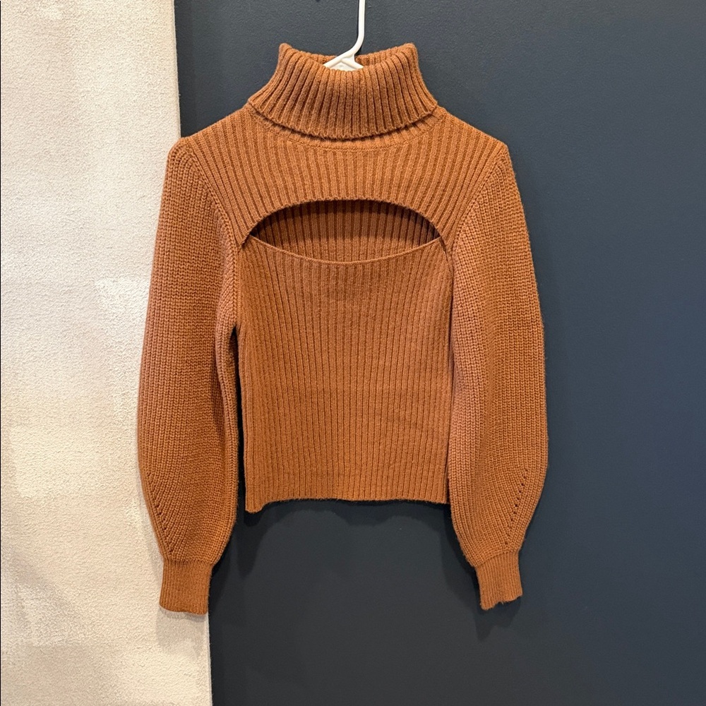 Elegant Tan Turtleneck Sweater